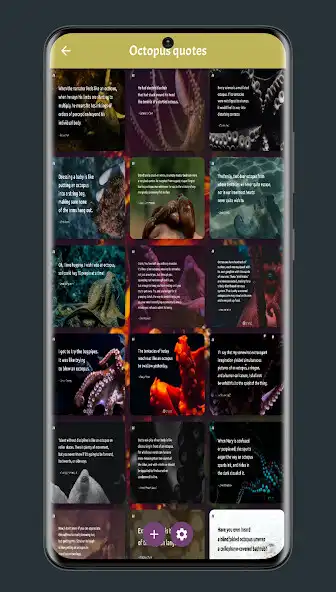 Play Octopus wallpapers 4k as an online game Octopus wallpapers 4k with UptoPlay