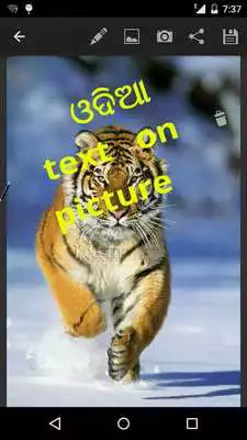 Play odia text on picture