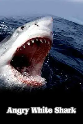 Play Official White Shark Attack