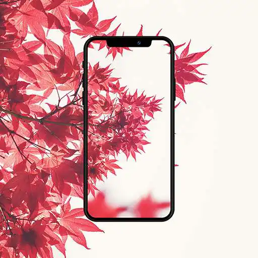 Play Offline Auto Wallpaper Changer APK