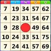 Free play online Offline bingo APK