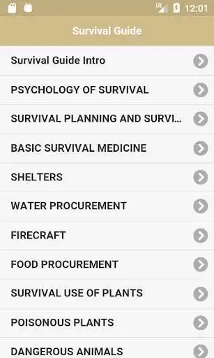 Play Offline Survival Guide  and enjoy Offline Survival Guide with UptoPlay