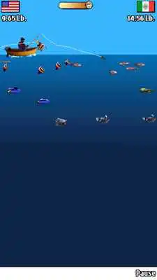 Play Off the Hook : Fishing2
