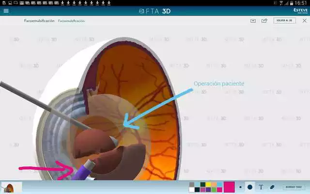 Play OFTA 3D