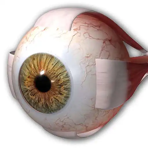 Play Oftalmología 3D APK