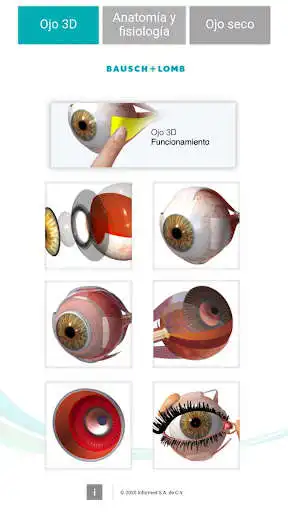 Play Oftalmología 3D as an online game online Oftalmología 3D with UptoPlay com.informed.osbmx Play Oftalmología 3D as an online game Oftalmología 3D with UptoPlay