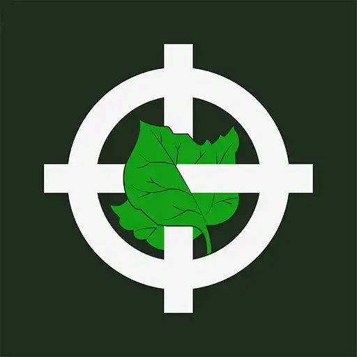 Play Ohapse Bible APK Play Ohapse Bible APK