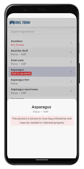 Play Ohel Torah - Kashrut as an online game Ohel Torah - Kashrut with UptoPlay