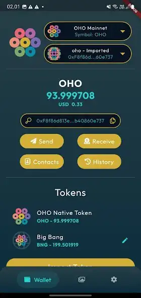 Play OHO Wallet as an online game OHO Wallet with UptoPlay