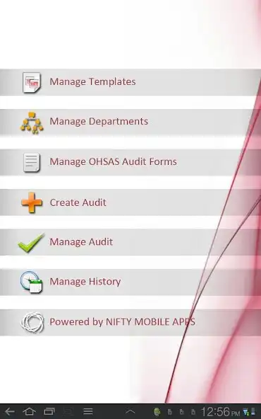 Play OHSAS 18001 Audit