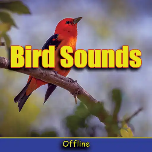 Play Oiseaux Sons 2020 sans internet as an online game Oiseaux Sons 2020 sans internet with UptoPlay