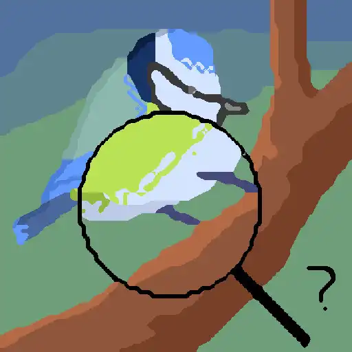 Play Ois - Reconnaissance des oiseaux APK