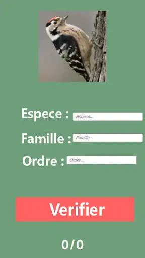 Play Ois - Reconnaissance des oiseaux as an online game Ois - Reconnaissance des oiseaux with UptoPlay