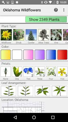 Play Oklahoma Wildflowers  and enjoy Oklahoma Wildflowers with UptoPlay
