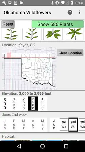 Play Oklahoma Wildflowers as an online game Oklahoma Wildflowers with UptoPlay
