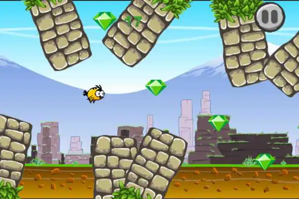 Play Older Bird Fly Play Older Bird Fly