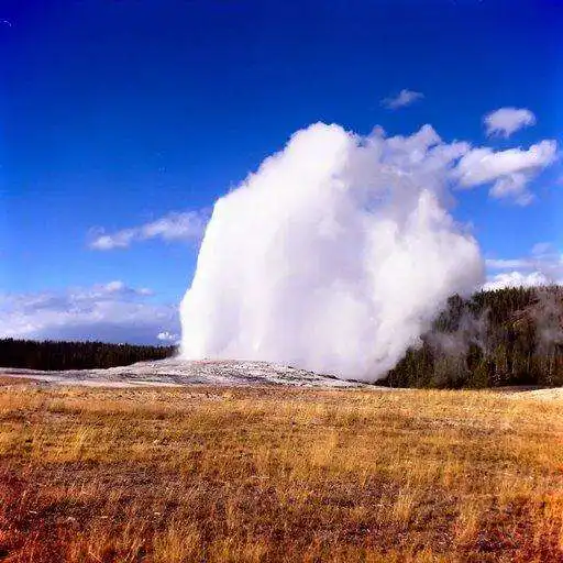 Play Old Faithful Wallpapers APK
