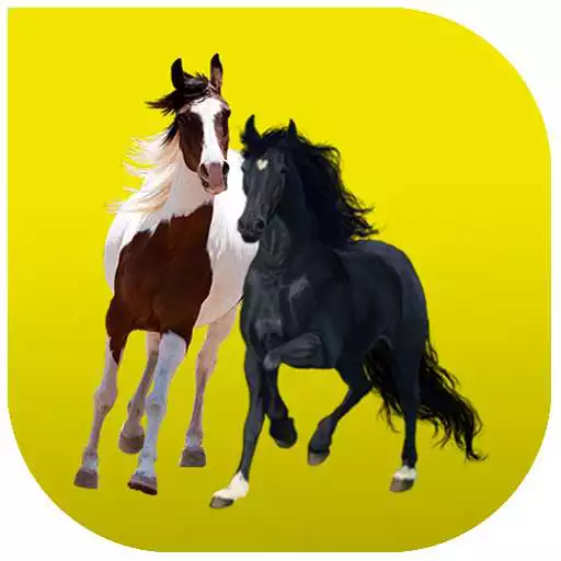 Play Old Town Road Button 2019 APK Play Old Town Road Button 2019 APK