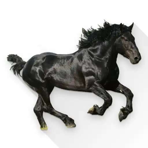 Play Old Town Road Soundboard APK