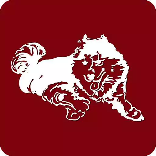 Play Olean City School District APK