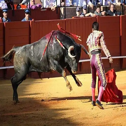 Play Ole Matador Sound APK
