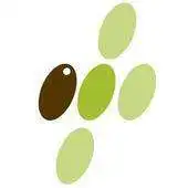 Free play online Olimed APK