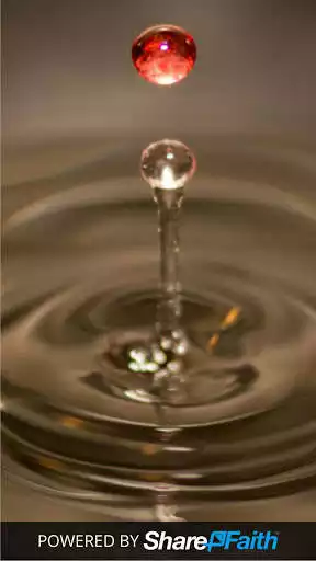 Play Olive Grove Baptist Church