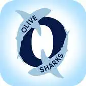 Free play online Olive APK