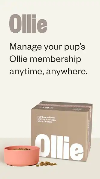 Play Ollie - Human Grade Dog Food  and enjoy Ollie - Human Grade Dog Food with UptoPlay