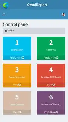 Play Omini Report Online PM Tool