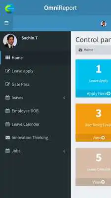 Play Omini Report Online PM Tool
