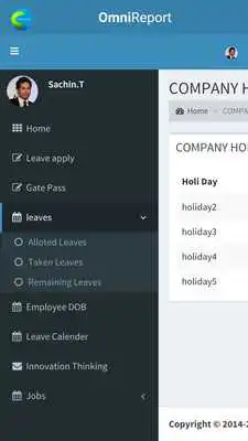 Play Omini Report Online PM Tool