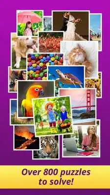 Play One Clue Crossword