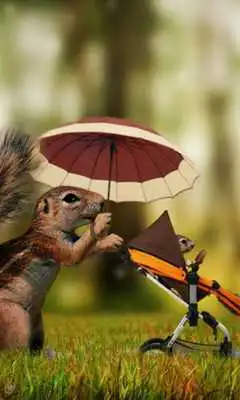 Play One Plus 2 Wallpapers Play One Plus 2 Wallpapers