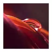 Free play online One Plus One HD Wallpapers APK