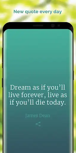 Play One Quote a Day