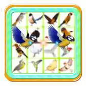Free play online Onet bird blast:Paradise pop link connect APK