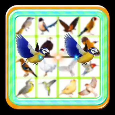 Play Onet bird blast:Paradise pop link connect Play Onet bird blast:Paradise pop link connect