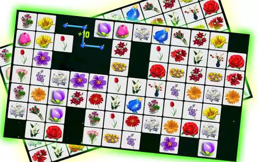 Play Onet Flowers