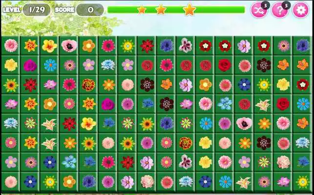 Play Onet Flowers