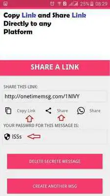 Play One Time Secret Message
