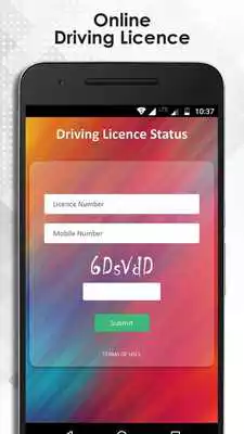 Play Online Driving Licence