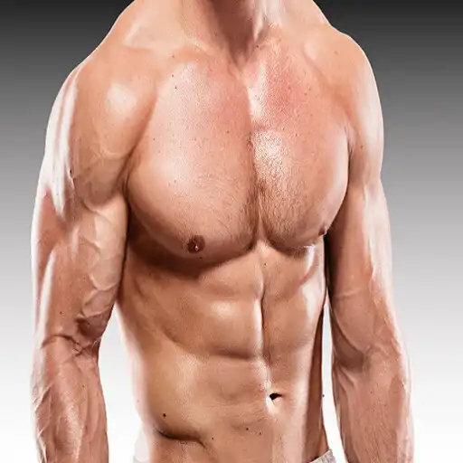 Play Online Gym - Fitness Training APK Play Online Gym - Fitness Training APK