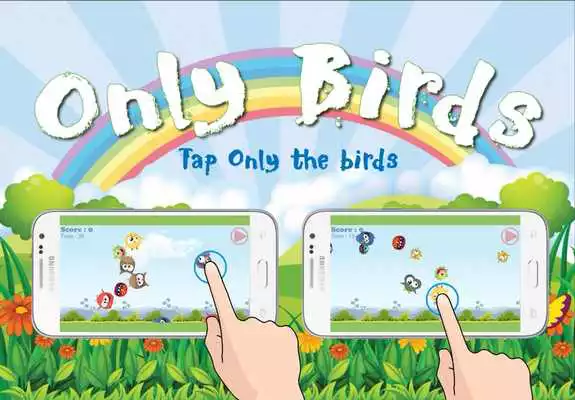 Play Only Birds Game 2017