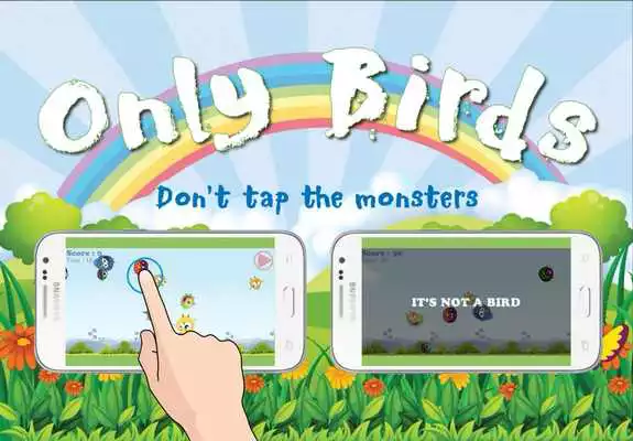 Play Only Birds Game 2017