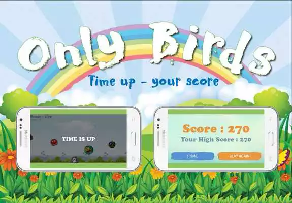 Play Only Birds Game 2017