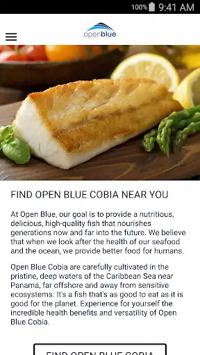 Play Open Blue as an online game online Open Blue with UptoPlay com.wemersive.openblue Play Open Blue as an online game Open Blue with UptoPlay