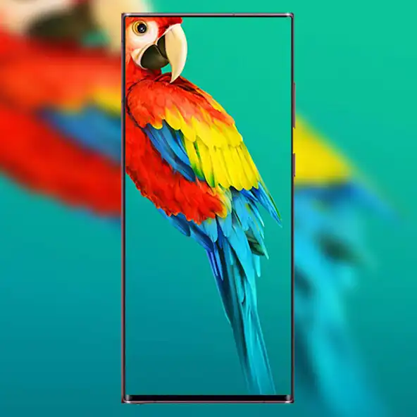 Play Oppo F21 Pro Punch Hole Walls  and enjoy Oppo F21 Pro Punch Hole Walls with UptoPlay