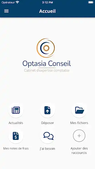 Play Optasia Conseil as an online game Optasia Conseil with UptoPlay