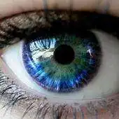 Free play online Optica Popular APK